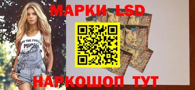 сатива Можга