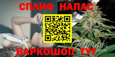 сатива Можга