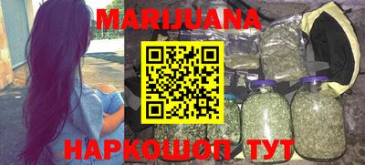 сатива Можга