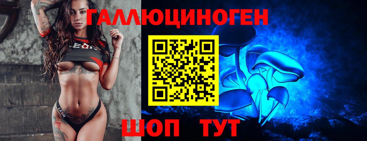 Псилоцибиновые грибы мицелий Туапсе