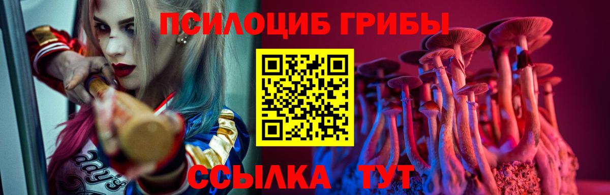 что такое   Галлюциногенные грибы мицелий  Галлюциногенные грибы GOLDEN TEACHER  Вход с VPN  Туапсе 